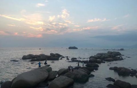 狗子28：新的经营模式应当立足在商业模式之上