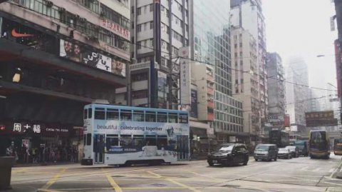狗子28：网络营销渠道VS传统营销渠道